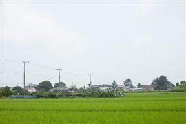 「伊勢えび」や「比内地鶏」をもらって地域に貢献!「ふるさと納税」ってどうやるの?