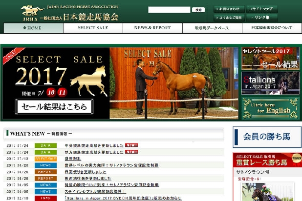 DMMが良血馬を次々落札、競馬事業参入へ 「一口馬主」になると節税になる?