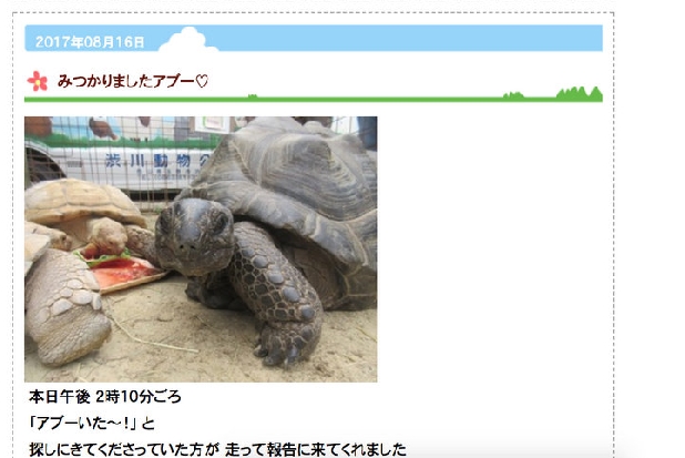 脱走ゾウガメ「アブー」を見つけて懸賞金50万円! 税金を払わないといけないの?