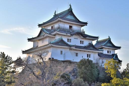 和歌山市でおすすめの税理士事務所比較15選！税理士の選び方や費用相場も併せて紹介
